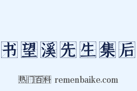 书望溪先生集后是什么意思的图片